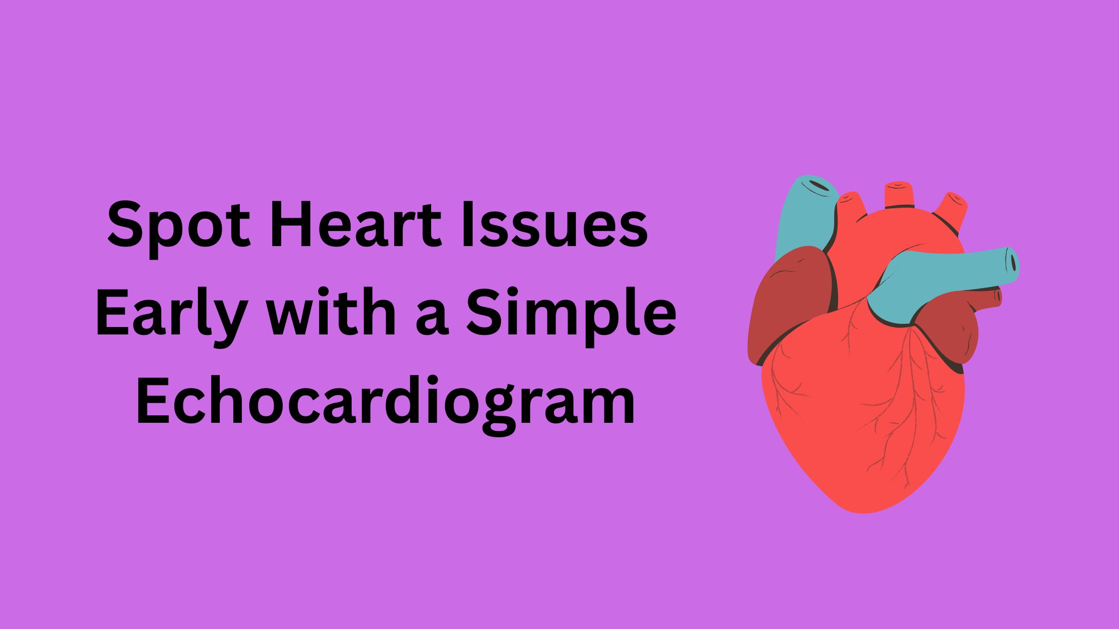 Spot Heart Issues Early with a Simple Echocardiogram